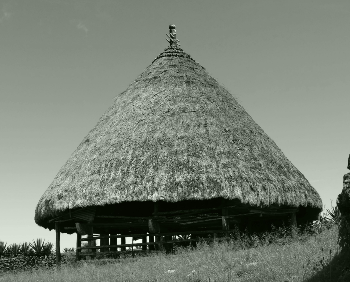 Traditional architecture in Timor Leste. Source: Tenorio and Costa Junior (2020)