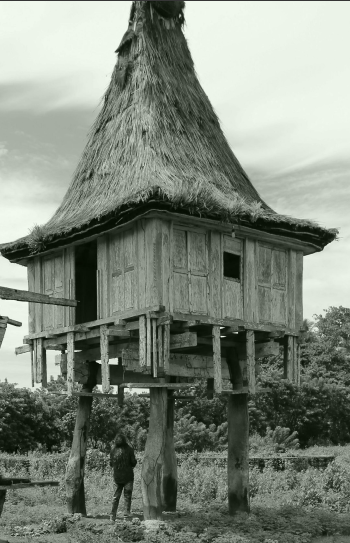 Traditional architecture in Timor Leste. Source: Tenorio and Costa Junior (2020)